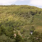 Les Rives Hotel 3*