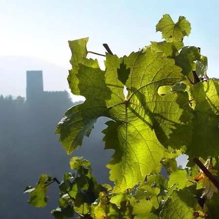 Les Rives Otel Guebwiller