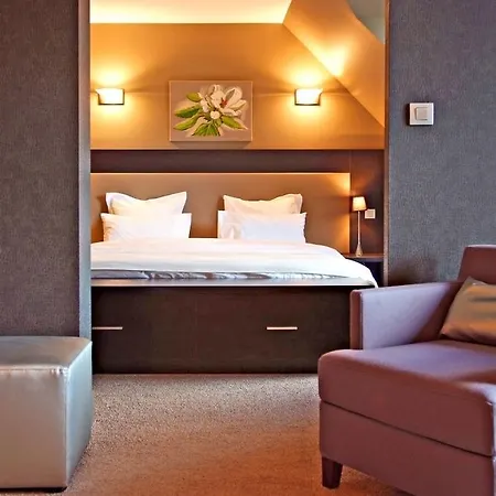 Les Rives Hotel Guebwiller