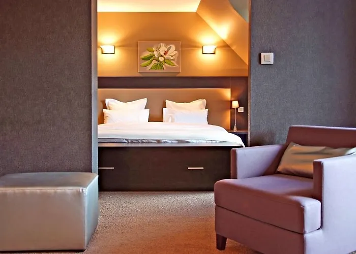 Les Rives Hotel Guebwiller